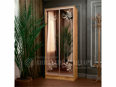 Шафа-купе Уні 900 мм дводверна