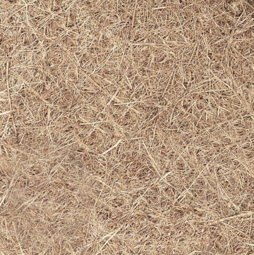 Матрац Arlon/Арлон