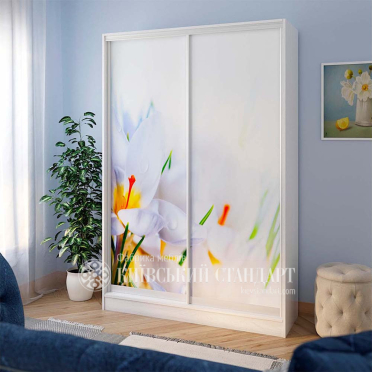 Шафа-купе Стандарт 1000 мм