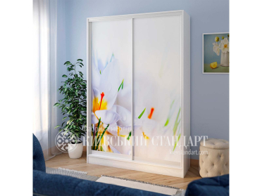 Шафа-купе Стандарт 1000 мм